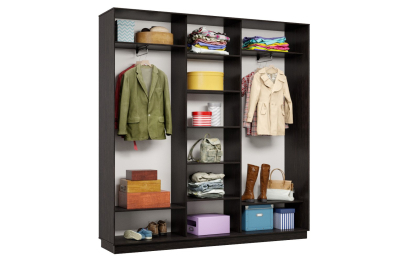 Шкаф-купе Премьер 43 (16;16;16) трёхдверный