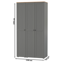 Шкаф для одежды и шкаф-пенал в прихожую Остин