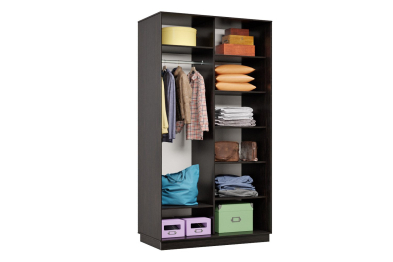 Шкаф-купе Премьер 04 (01ЗГ;01ЗГ) фасады зеркало графит/двухдверный/Профиль чёрный муар