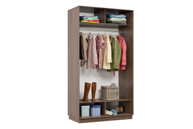 Шкаф-купе Премьер 06 (16;16) двухдверный