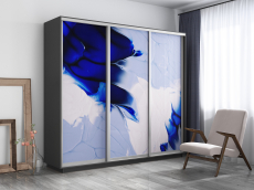 Шкафы-купе, Шкаф-купе Экспресс 1010, 180х45х220