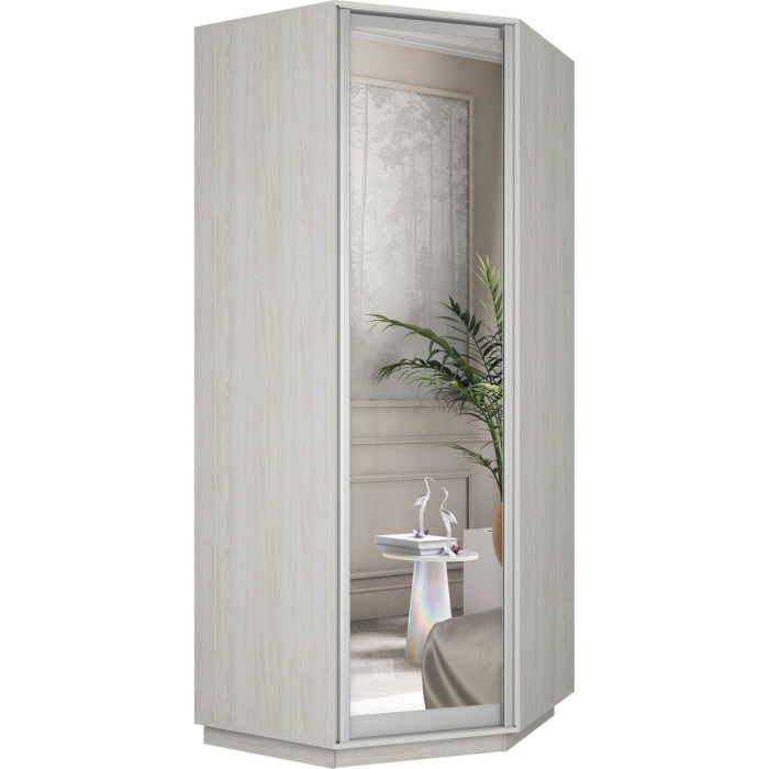 Для одежды, Шкаф распашной Угловой Экспресс, 90х90х220 см