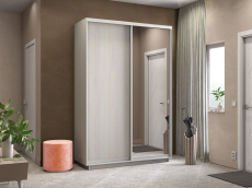 Шкафы-купе 2-х дверные, Шкаф-купе Экспресс Медиум дуо 2200 x 1600 x 450