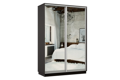 Шкаф-купе Премьер Лайт 11 (01;01) двухдверный