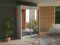 Шкафы-купе 2-х дверные, Шкаф-купе Экспресс 2х дверный Зеркала 160х45х240