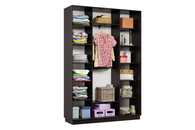 Шкаф-купе Премьер 15 (16;16;16) трёхдверный