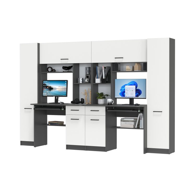 Прямые компьютерные столы, Компьютерные столы для двоих детей Aльфа