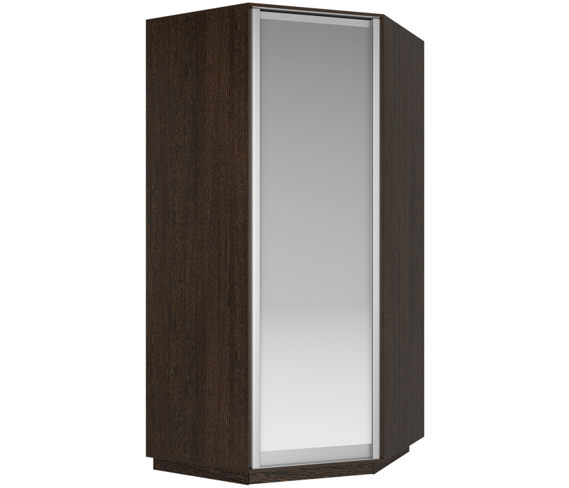 Для одежды, Шкаф распашной Угловой Экспресс, 90х90х220 см