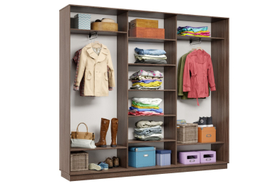 Шкаф-купе Премьер 53 (14;14;14) трёхдверный