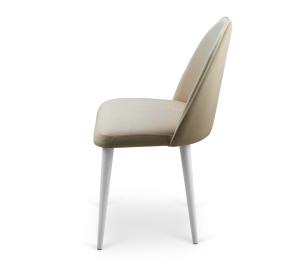 Стул интерьерный «Мартин», велюр