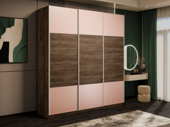 Шкаф-купе Эста 3-х дверный ДСП/Стекла пудра/Доводчик 240х66х240