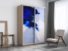 Шкафы-купе, Шкаф-купе Экспресс 1010, 160х45х240