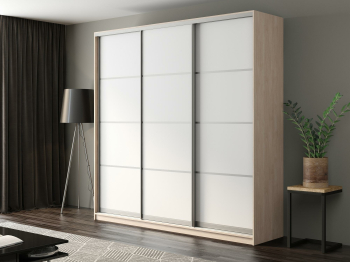 Шкаф-купе Айсберг 230 ШАМОНИ СВЕТЛЫЙ (белый/глухой)