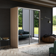 Шкафы-купе, Шкаф-купе Экспресс Экспенс дуо 2200 x 1400 x 600