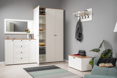 Шкаф для одежды и шкаф-пенал в прихожую Остин