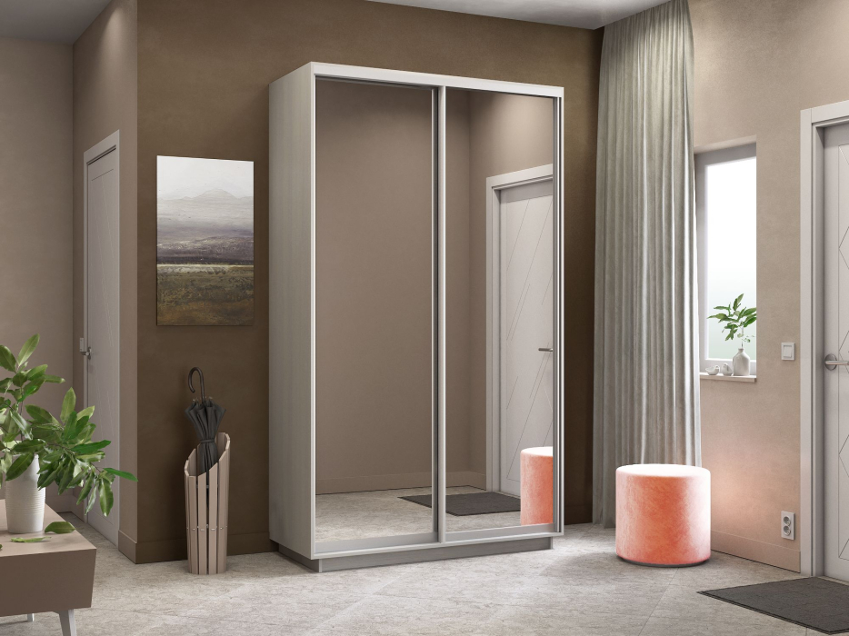 Шкафы-купе 2-х дверные, Шкаф-купе Экспресс Экспенс дуо 2200 x 1400 x 450