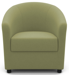 Кресло для отдыха "Глория-Эконом-2"