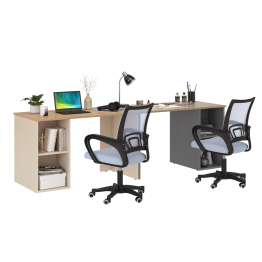 Набор для работы и учёбы из двух столов письменных Лайт 12.163 и двух серых кресел