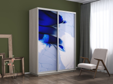 Шкафы-купе, Шкаф-купе Экспресс 1010, 140х45х240