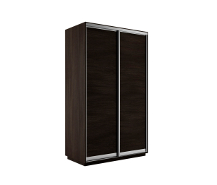 Шкаф-купе Экспресс Элемент дуо 2200 x 1600 х 600