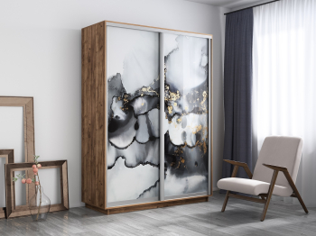 Шкаф-купе Экспресс 1001, 120х60х240