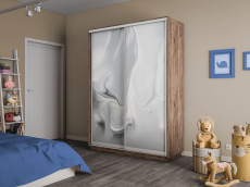 Шкафы-купе 2-х дверные, Шкаф-купе Экспресс 2-х дверный Фотопечать Шелк Стекла 160х60х240