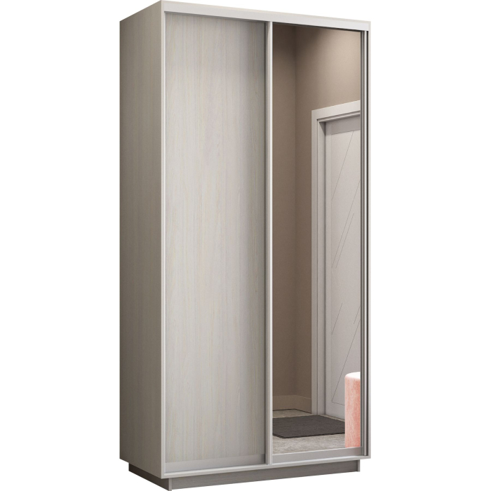 Шкафы-купе 2-х дверные, Шкаф-купе Экспресс Медиум дуо 2200 x 1200 x 450