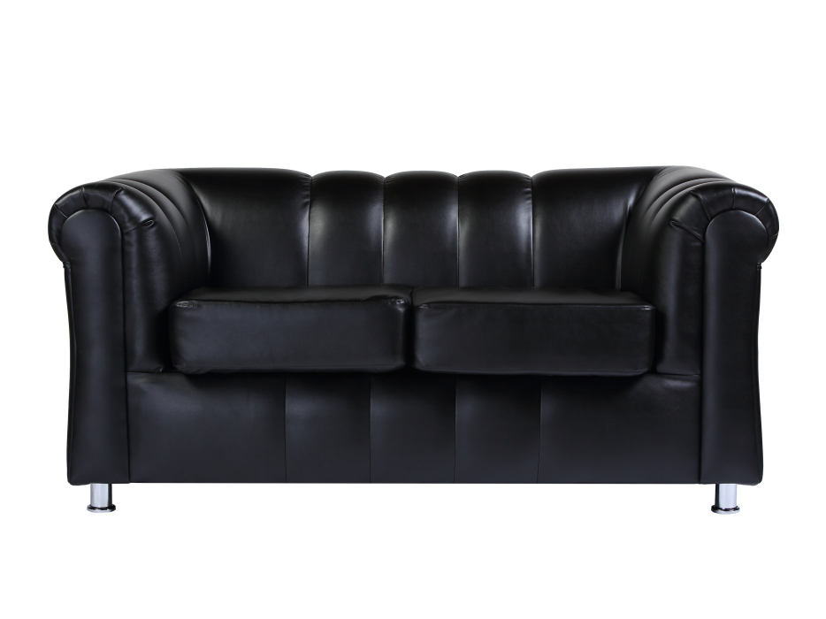 Диваны прямые, Диван Брайтон 2-х местный,экокожа