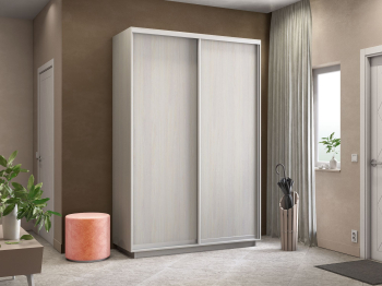 Шкаф-купе Экспресс 2х дверный ДСП 160х60х240