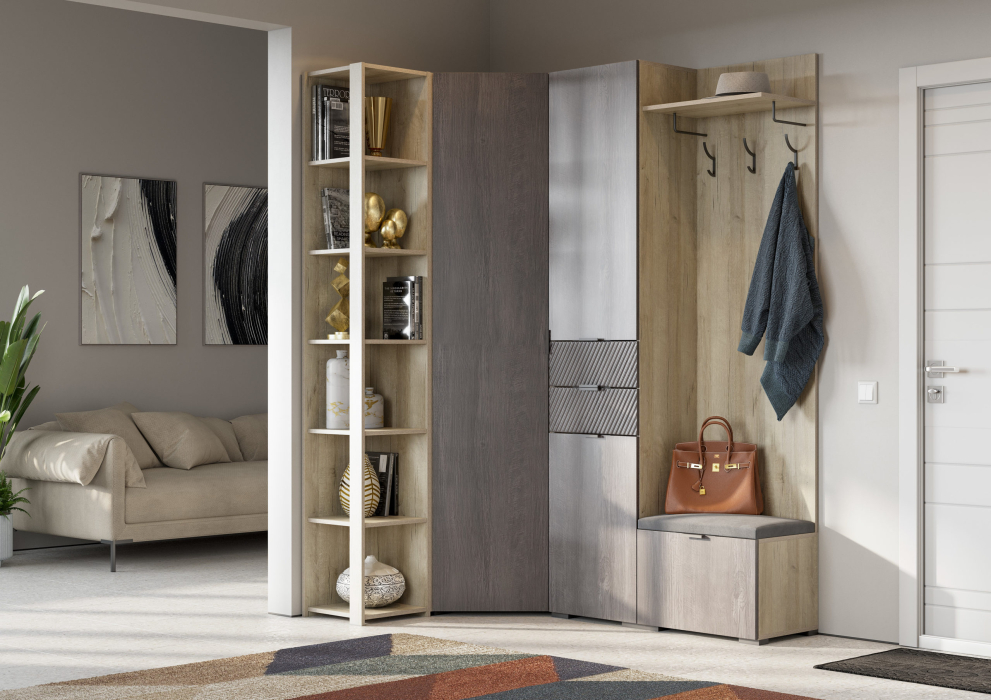 Для одежды, Шкаф Шаде ШК-3433, дуб серый, черный ясень