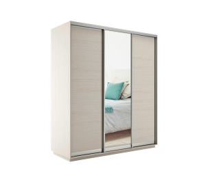 Шкаф-купе Экспресс Медиум (1 зеркало) трио 2400 x 1800 x 600