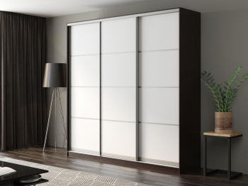 Шкаф-купе Айсберг 250 ВЕНГЕ (белый/глухой)