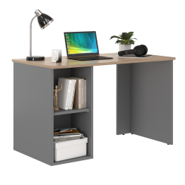 Стол письменный Лайт 12.163