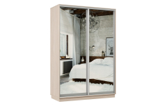 Шкафы-купе 2-х дверные, Шкаф-купе Премьер Лайт МИНИ 01 (01;01) двухдверный