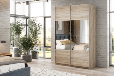 Шкаф-купе Smart 1422 2х дверный (фасады ЛДСП/зеркало) профиль серебро