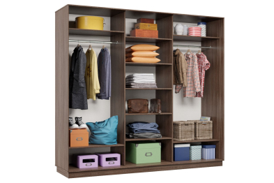 Шкаф-купе Премьер 54 (14;14;14) трёхдверный