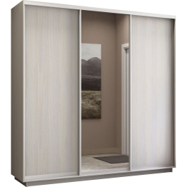Шкаф-купе Экспресс Медиум (1 зеркало) трио 2200 x 2100 x 600