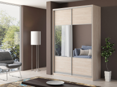 Шкафы-купе, Шкаф купе 2-х дверный Айсберг 170 комбинированный