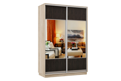 Шкаф-купе Премьер Лайт 09 (05;05) двухдверный