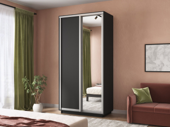 Шкаф-купе Экспресс Хит 2х дверный ДСП/Зеркало 120х60х220