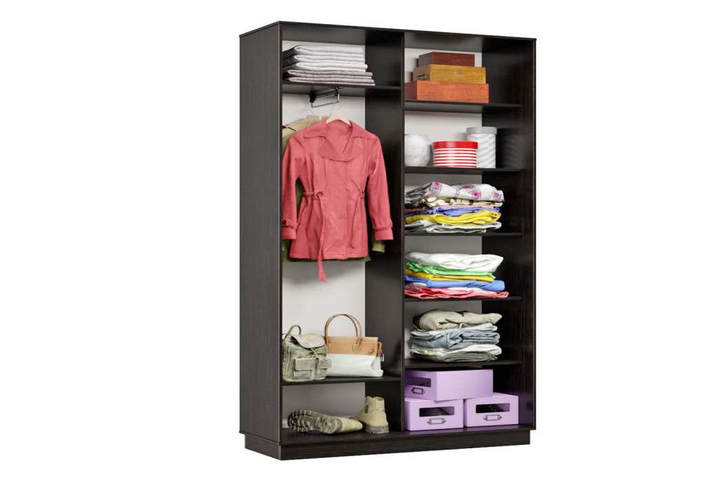 Шкафы-купе, Шкаф-купе Премьер Лайт 01 (02;01) двухдверный