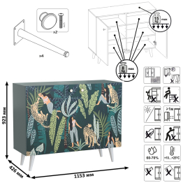 Комоды с рисунками на фасадах Либера и Кармин