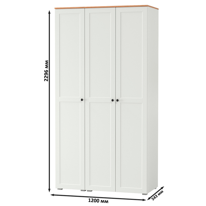 Прихожие, Шкаф для одежды и шкаф-пенал в прихожую Остин