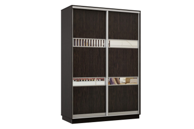 Шкаф-купе Премьер 10 (15;15) двухдверный