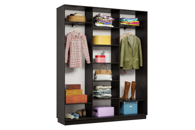 Шкаф-купе Премьер 27 (15;15;15) трёхдверный