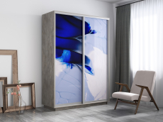 Шкафы-купе, Шкаф-купе Экспресс 1010, 160х60х220