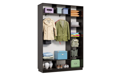 Шкаф-купе Премьер 09 (16;16) двухдверный