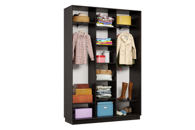 Шкаф-купе Премьер 17 (14;14;14) трёхдверный