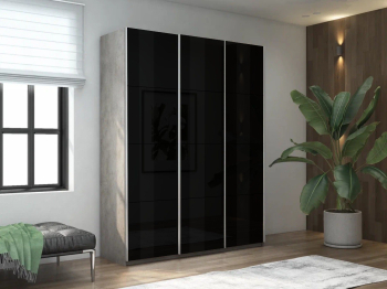 Шкаф-купе Прайм 3-х дверный Стекла черные/Доводчики 180х57х230