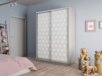 Шкаф-купе Экспресс 2-х дверный Фотопечать Калейдоскоп Стекла 160х60х220